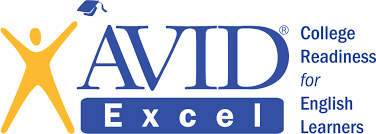 Avid Excel