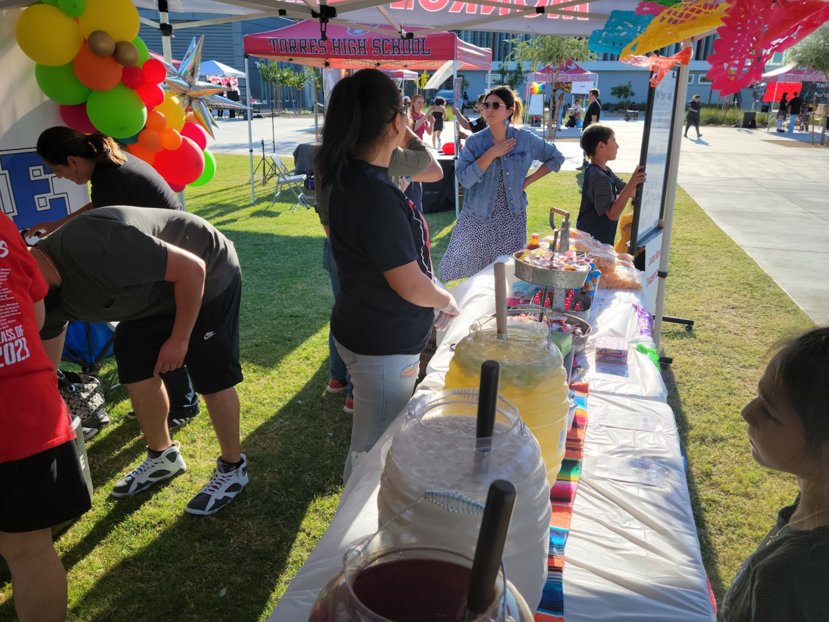 monroe torres carnival 4