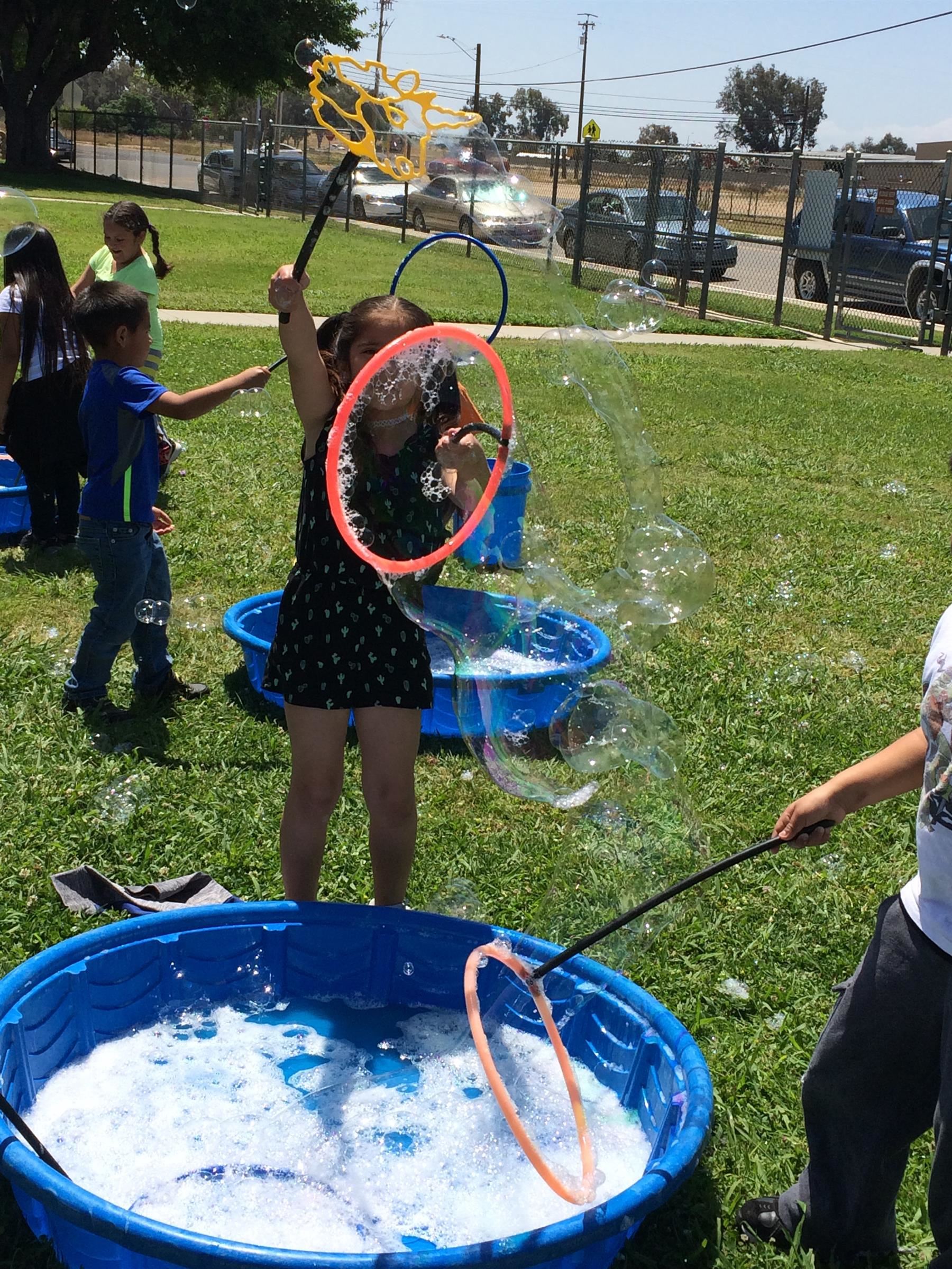 Sierra Vista Elementary School / Overview