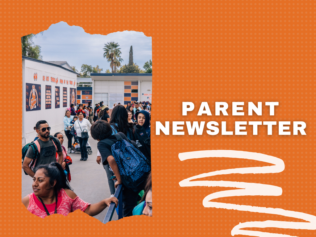  newsletter