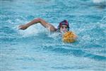 waterpolo1 