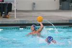 waterpolo 